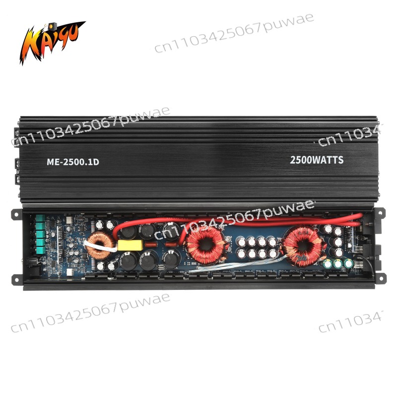 2500W RMS Mono Car Amplifier,  - Car Amplifier Class D 1 Ohm Stable review and price